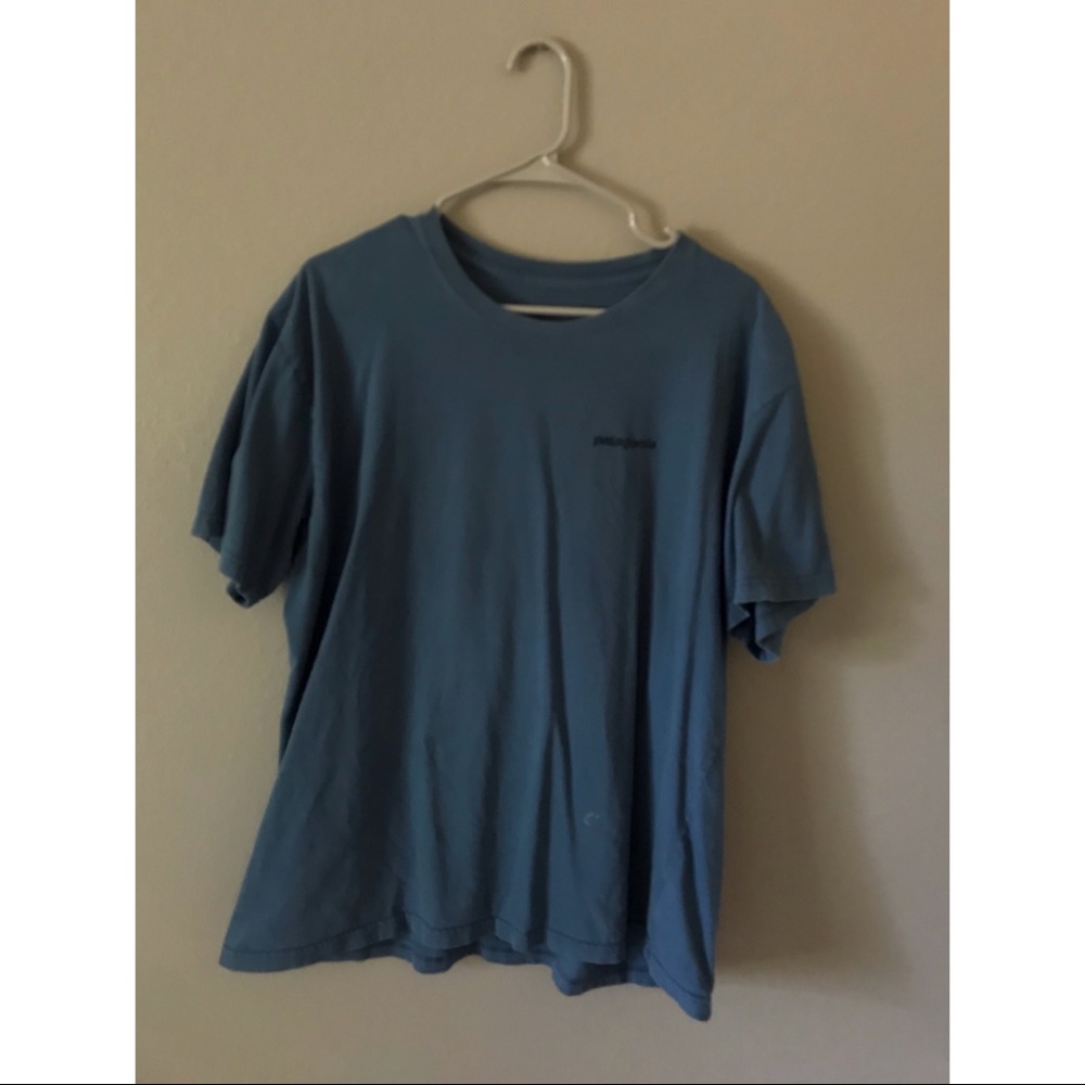 patagonia t-shirt